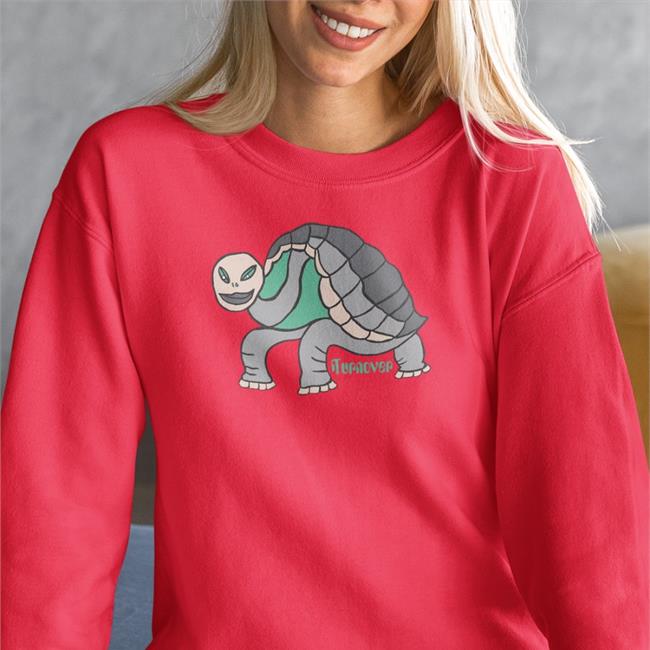 Turnover Turtle Shirt Run For Cover Records Merch