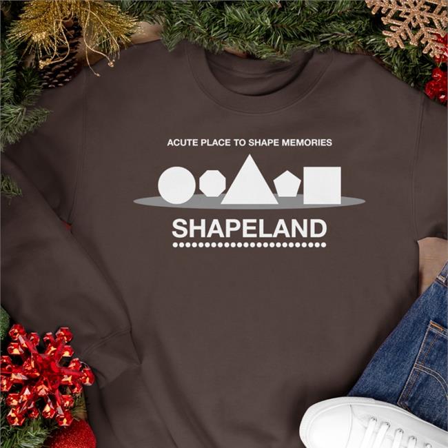 Shapeland Acute Place To Shape Memories Long Sleeve T Shirt Defunctland Molly Acute Place To Shape Memories Shapeland Tee Shirt Defunctland