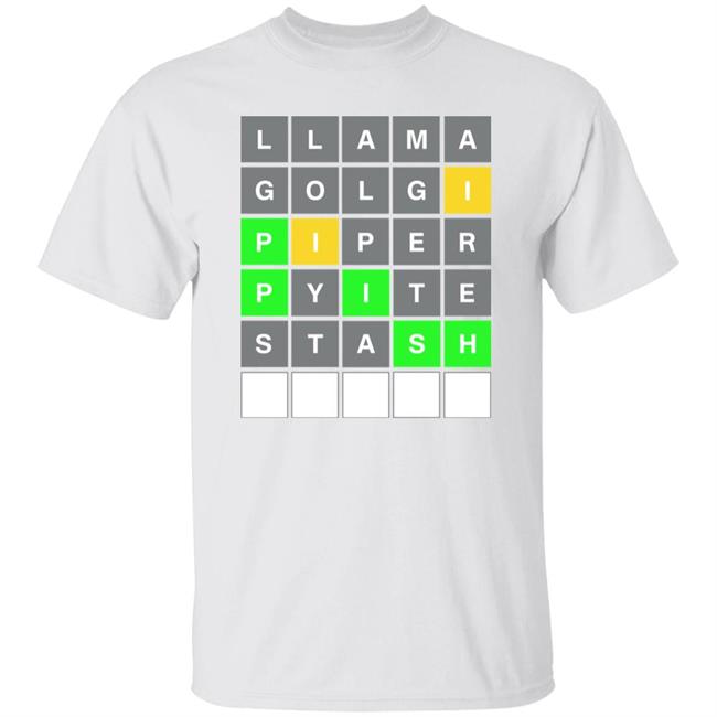 David Steinberg Phish Wordle T-Shirt Velvet Designs
