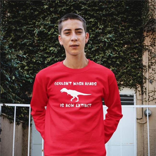 Dinosaurs Couldn't Wash Hands Is Now Extinct Hoodie Brandy Bmadams