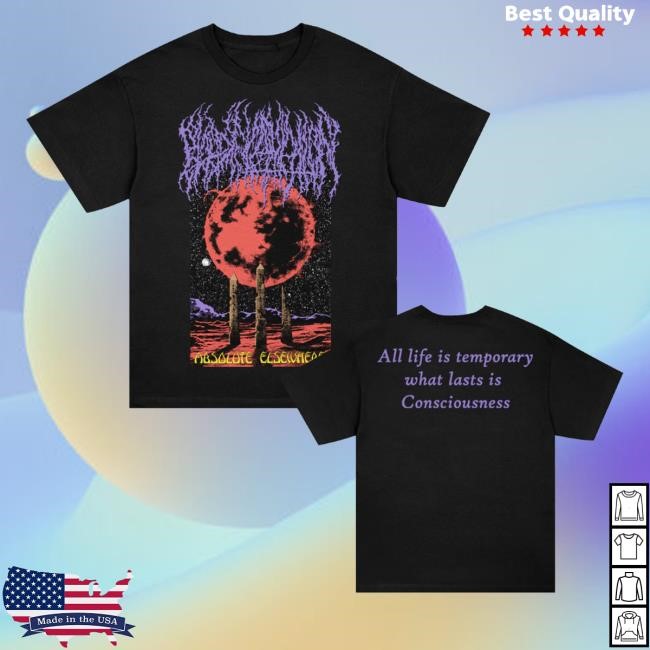 Absolute Elsewhere All Life Is Temporary What Lasts Is Consciousness T Shirt