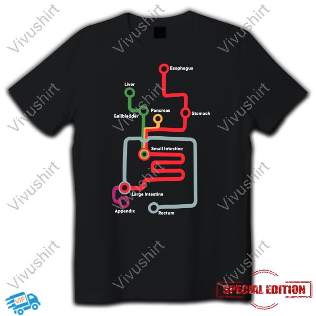 Esophagus Liver Gallbladder Pancreas Stomach Small Intestine Large Intestine Appendix Rectum Tee