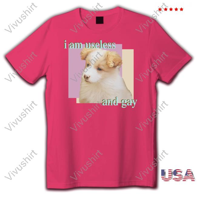I Am Useless And Gay Long Sleeve T Shirt