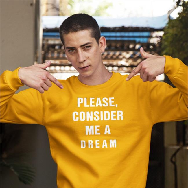 Poorly Translated Shirts Please Consider Me A Dream Shirt