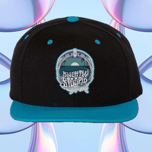 Slightly Stoopid Merch Up On A Plane Snapback Cap