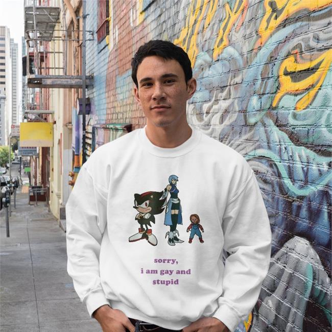Sorry I'm Gay And Stupid Hoodie