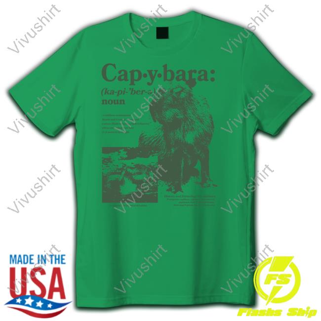 Noun Defined Capybaraman Shop Sweatshirt