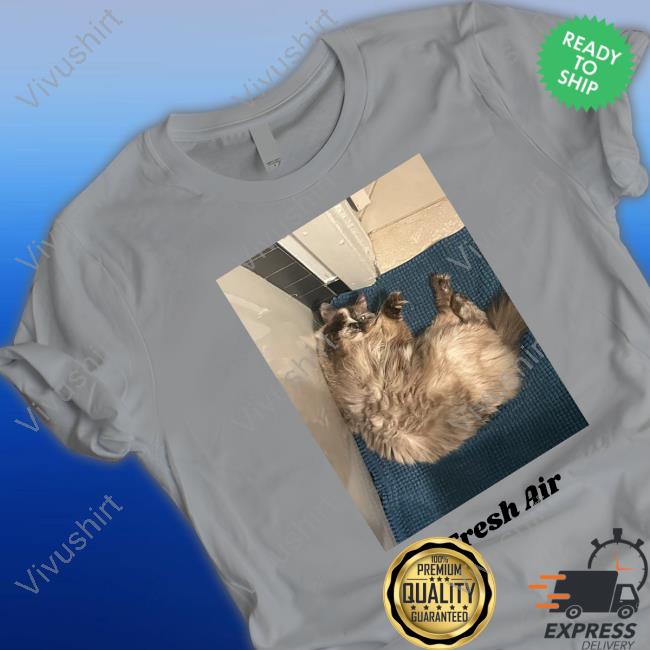 Fresh Air Homeshake Merch Tee Shirt