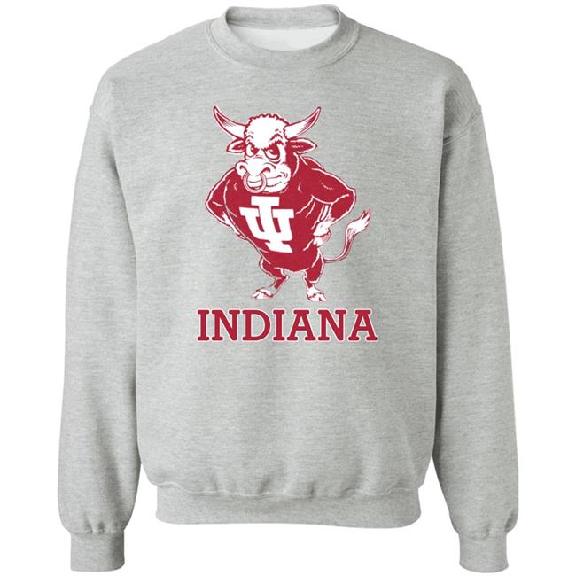 Vintage Indiana University Hoosiers Bison Mascot Hoodie Homefield Apparel Vintage Indiana University Hoosiers Bison Mascot Hoodie Homefield Apparel