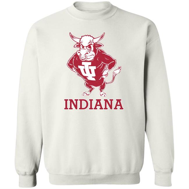 Vintage Indiana University Hoosiers Bison Mascot Hoodie Homefield Apparel Vintage Indiana University Hoosiers Bison Mascot Hoodie Homefield Apparel