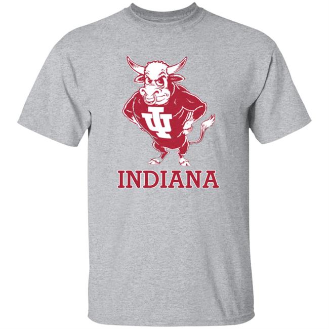 Vintage Indiana University Hoosiers Bison Mascot Hoodie Homefield Apparel Vintage Indiana University Hoosiers Bison Mascot Hoodie Homefield Apparel