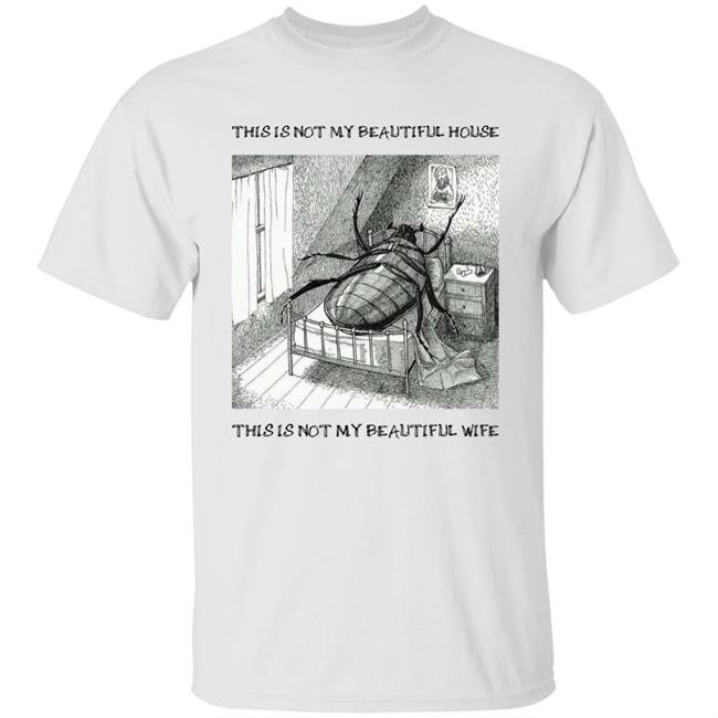 This Is Not My Beautiful House This Is Not My Beautiful Wife Shirt Zach Silberberg