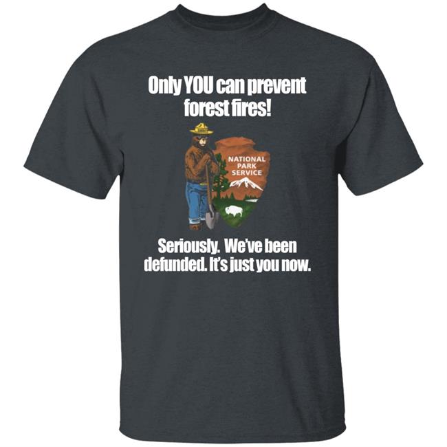 Only You Can Prevent Forest Fires Shirt Smokey Bear Defunded Only You Can Prevent T-Shirt Bring Me Tacos Store Bring Me Tacos Store Only You Can Prevent Forest Fires Shirt Smokey Bear Defunded Only You Can Prevent T-Shirt
