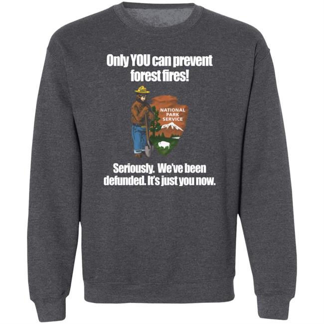 Only You Can Prevent Forest Fires Shirt Smokey Bear Defunded Only You Can Prevent T-Shirt Bring Me Tacos Store Only You Can Prevent Forest Fires Shirt Smokey Bear Defunded Only You Can Prevent T-Shirt Bring Me Tacos Store