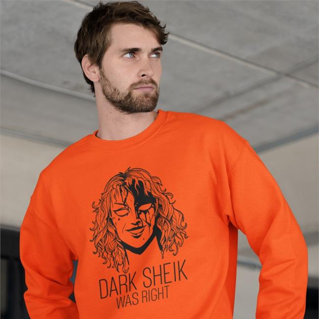 Dark Sheik Was Right Shirt Sheikah New Shirt Darksheikftf