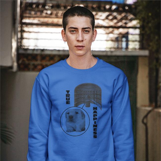 Henrystore True Happiness Panopticon Hoodie True Happiness Panopticon Shirt Henryjawnson Henrystore