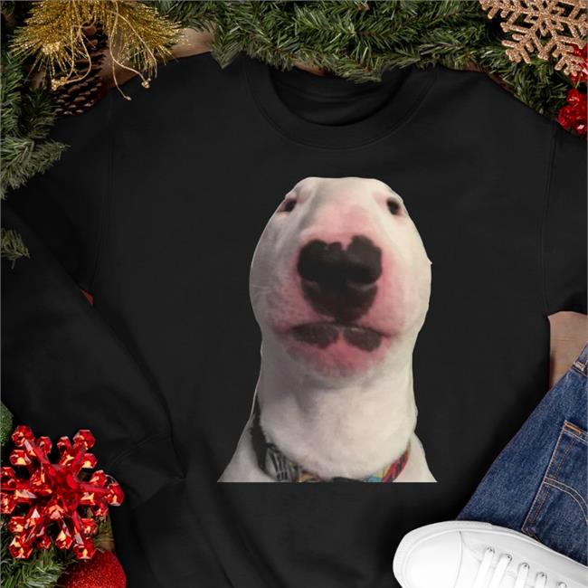 Walter Meme Dog Sweatshirt