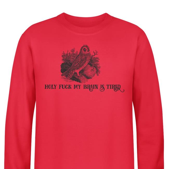 EffinBirds Holy Fuck My Brain Is Tired Sweatshirt