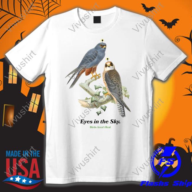 Eyes In The Sky Birds Aren't Tees Real Birdsarentreal Merch