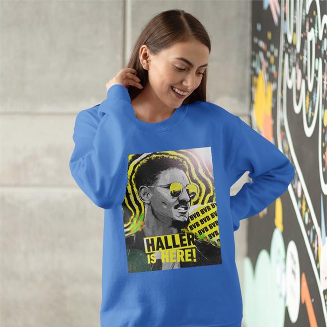 Haller Is Here Hoodie