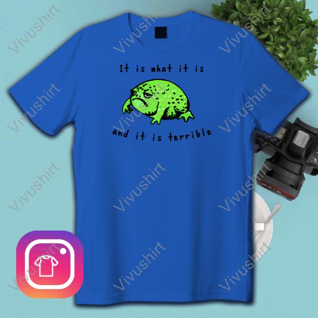 Shitheadsteve Frog It Is What It Is And It Is Terrible Hooded Sweatshirt