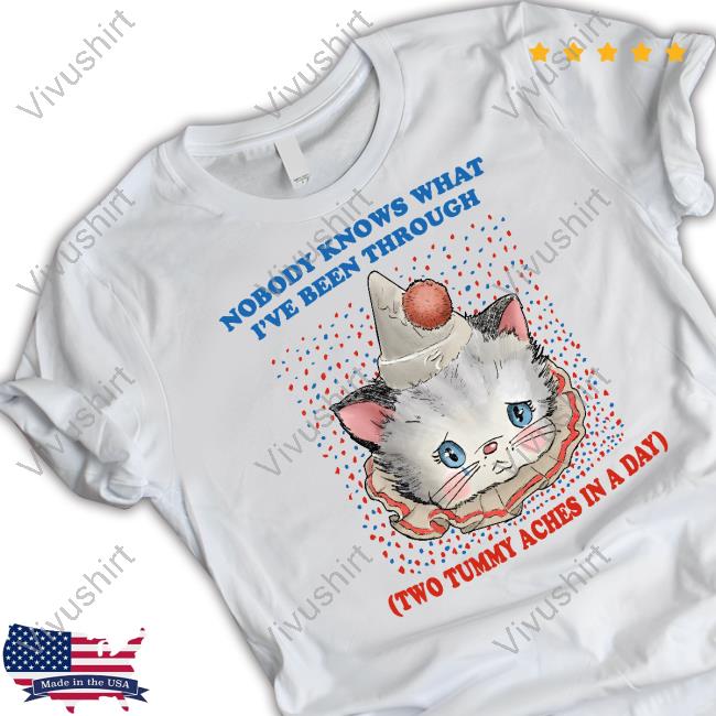 Cat Nobody Knows What I've Been Through Two Tummy Aches In A Day Tee Shirt