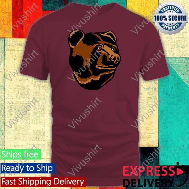 Boston Bruins Bear Hoodies Boston Bruins Bear Sweatshirt