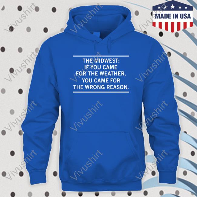 Raygunshirts The Midwest If You Came For The Weather Hoodie