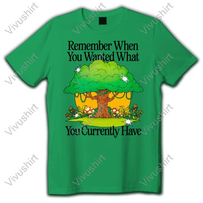 Remember When You Wanted What You Currently Have Sweatshirt