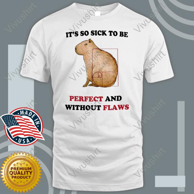 Justinsshirt Store It's So Sick To Be Perfect And Without Flaws Tee Jmcgg