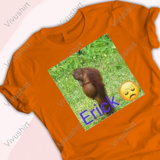 Sillytee Studio Erick Sad T Shirt