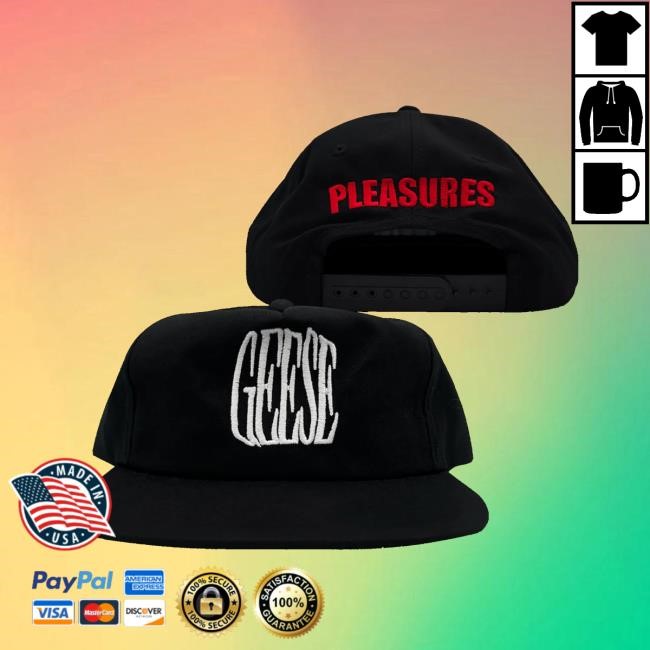 Geese Merch Geese Corduroy New Cap